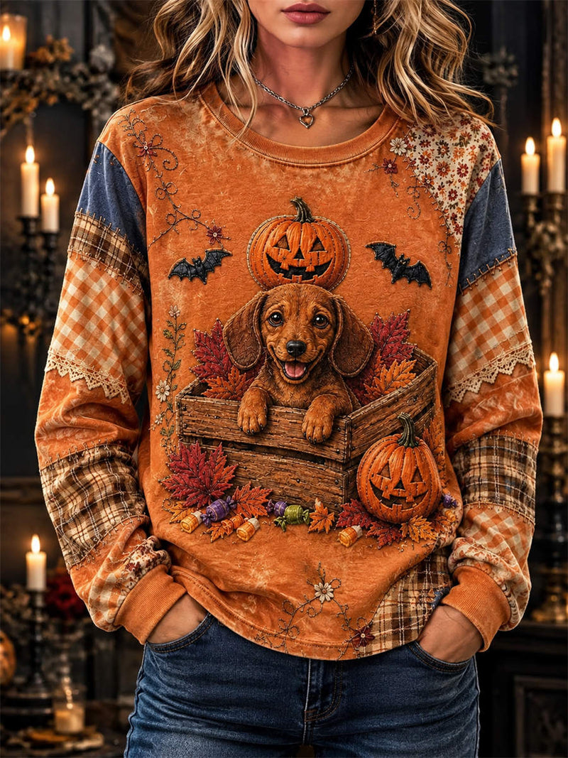 Women's Halloween Orange Dachshund Pumpkin Bat Patchwork Print Round Neck Long Sleeve Sweatshirt